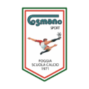 Logo Cosmano Sport